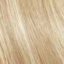 Chromatics Prismatic Oil Delivery & Beyond Cover Age Defying Permanent Color-All Levels