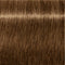 IGORA ROYAL Absolutes Permanent Coloring Creme - All Levels