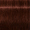 IGORA ROYAL Absolutes Permanent Coloring Creme - All Levels