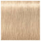 BLONDME Bond Enforcing White Blending - All Levels