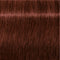 IGORA ROYAL Absolutes Permanent Coloring Creme - All Levels