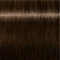 IGORA ROYAL Absolutes Permanent Coloring Creme - All Levels