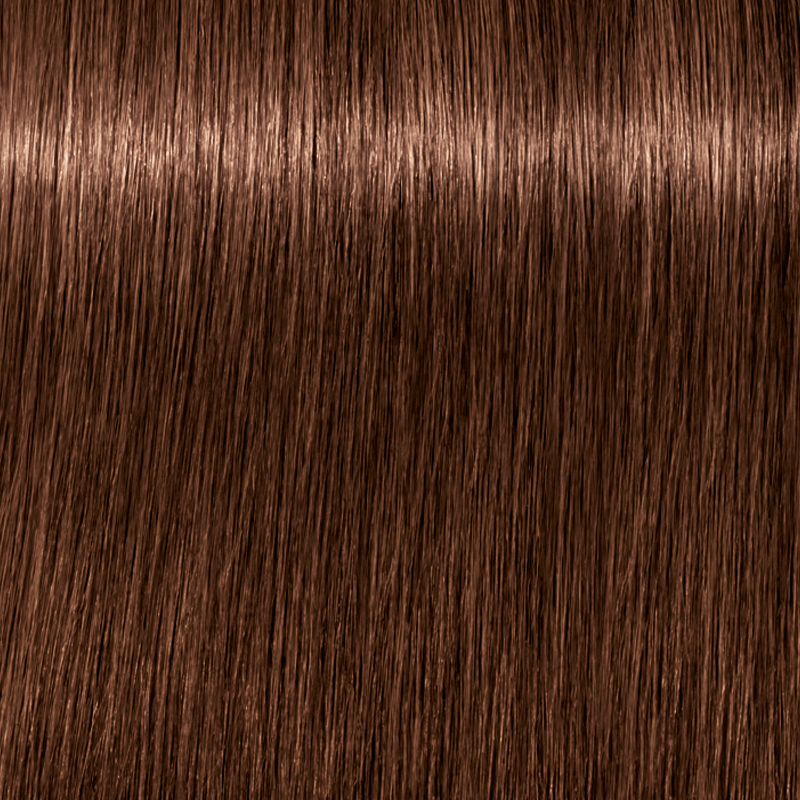 IGORA ROYAL Permanent Color Creme - Level 6
