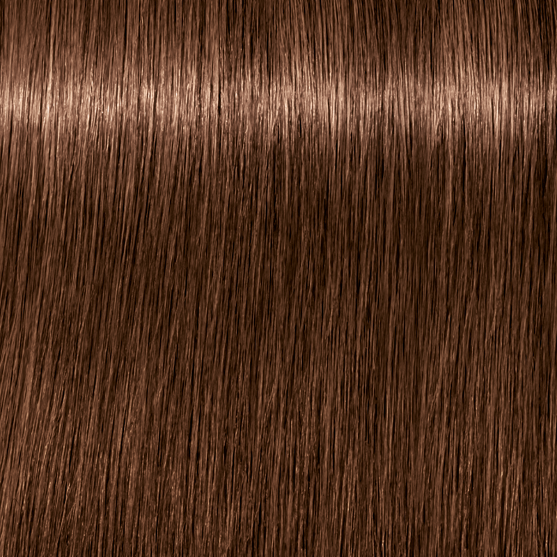 IGORA ROYAL Permanent Color Creme - Level 6