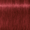 IGORA ROYAL Permanent Color Creme - Level 6