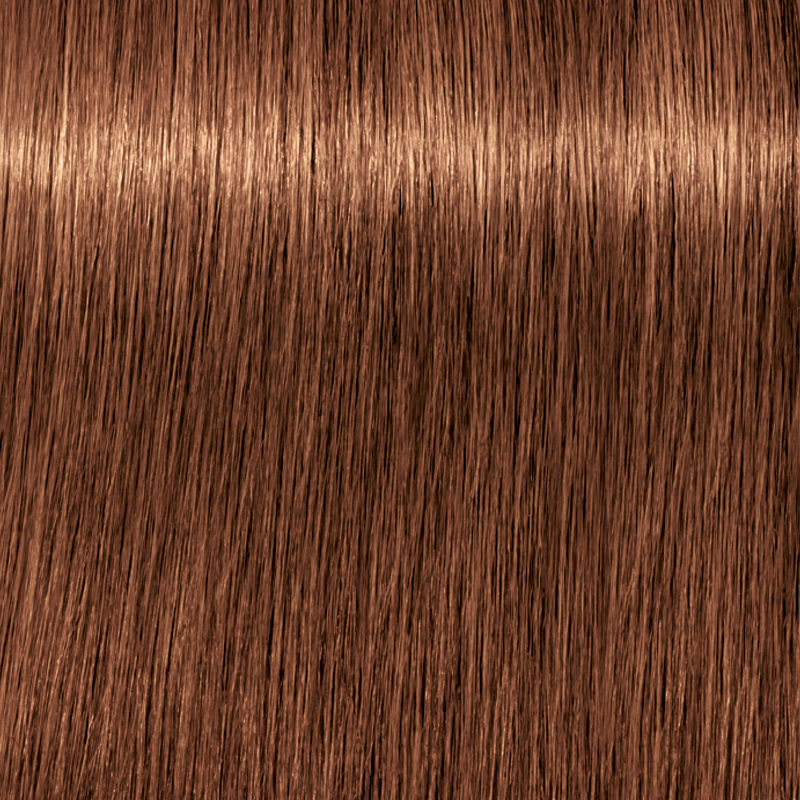 IGORA ROYAL Permanent Color Creme - Level 7