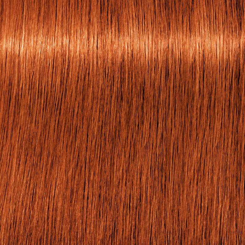 IGORA ROYAL Permanent Color Creme - Level 7