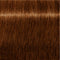 IGORA ROYAL Absolutes Permanent Coloring Creme - All Levels