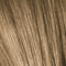 ESSENSITY Ammonia-Free Permanent Color - All Levels