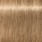 IGORA COLOR10 Permanent Color Creme - Level 8
