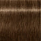 IGORA ROYAL Absolutes Permanent Coloring Creme - All Levels