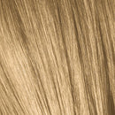 ESSENSITY Ammonia-Free Permanent Color - All Levels