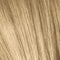 ESSENSITY Ammonia-Free Permanent Color - All Levels