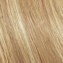 Chromatics Prismatic Oil Delivery & Beyond Cover Age Defying Permanent Color-All Levels