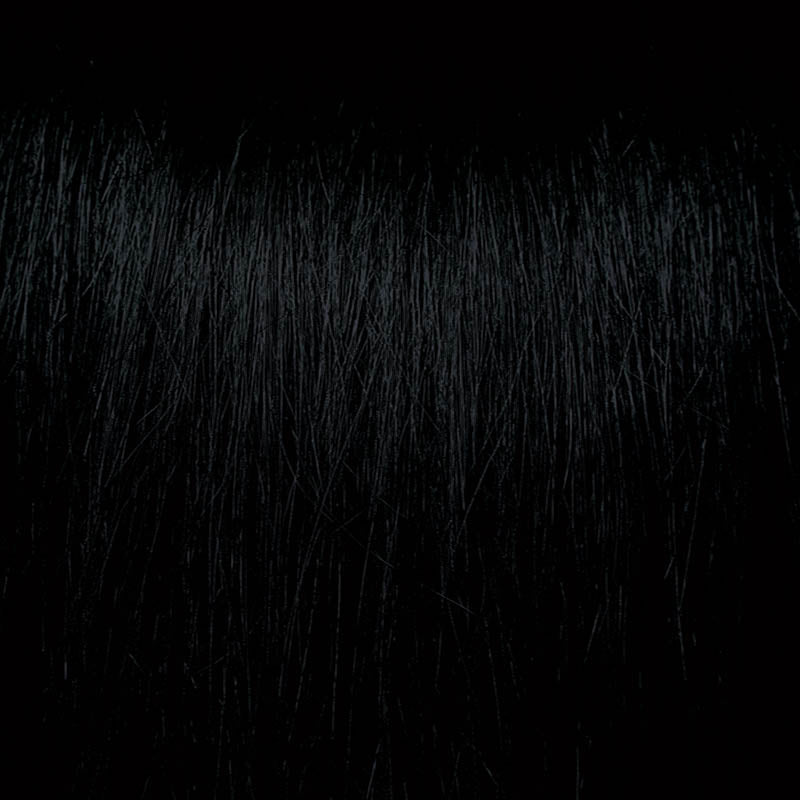 Chromasilk Permanent Hair Color - Level 1